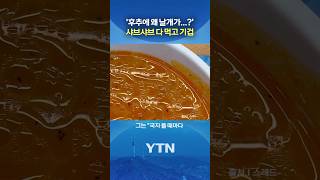  YTN