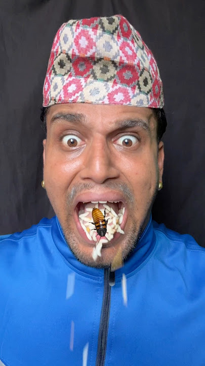 Papa ne cockroach khaliya?😱🪳 #cartoon #funny #animatedcomedy #hindi #india #comedy tomandjerry