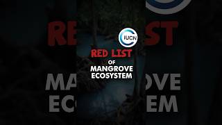 Red list Mangrove Ecosystem | IUCN report on Mangroves #iucn #mangrove