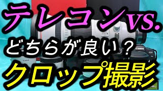 テレコン vs. クロップ撮影どちらが高画質？