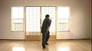 Fu Style Wudang Fist: Si Xiang Chuan Net Worth