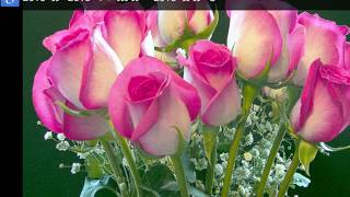 Beautiful Flowers Slideshow