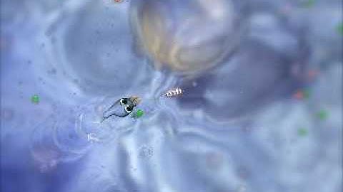 My Spore Cell Stage Gameplay Part1