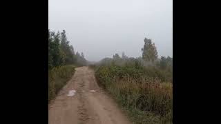 #вайб #vibe #шортс #shorts #хобби #hobby #моменты #moments #видео #video #атмосфера #atmosphere