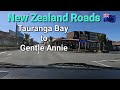 Tauranga bay to gentle annie new zealand 2023