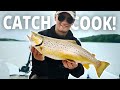 Catch And Cook - A Summer Sea Trout In The Fjord (great sea trout recipe!)