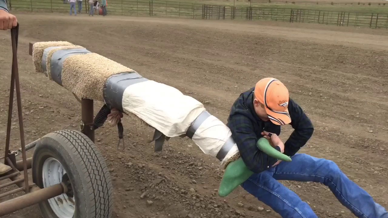 Diamond S Performance Horses 2017 Steer Wrestling School YouTube