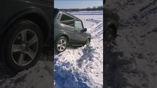 Моя малышка #нивка   #shorts #tiktok