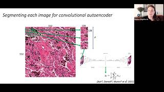 ISCB Overton Prize Keynote - Cells in... - Barbara Engelhardt - Keynotes - Talk - ISMB/ECCB 2021