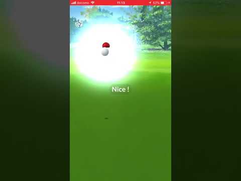 2連 色違いサングラス ゼニガメ ポケモンGO 新宿