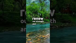 ✨"May God bless your saturday with sunshine, quite nature, and warm hearts. Amen🙏❤️🌎🌞🌳🍁🌸🩵🪻🌷🍀🦆🌺🌾💜🌈💛💓