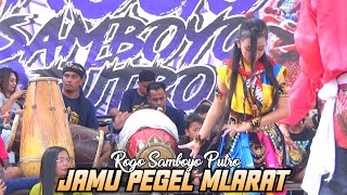 JAMU PEGEL MLARAT Duet Gea Ayu&Lery Jaranan ROGO SAMBOYO PUTRO  Shafira Audio Glerr Live Baye Kediri