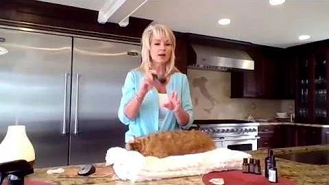 Essential Oils for pets with Krista Randall - Part 1