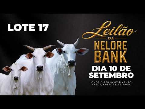 LOTE 17   ASSAA 4364   JMZU 1739