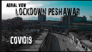 Profile Video