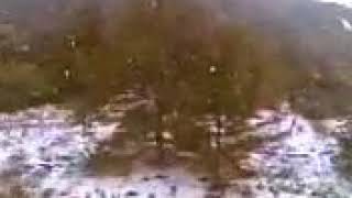 Zeytinada Seyfe Kar Yağışı 2013