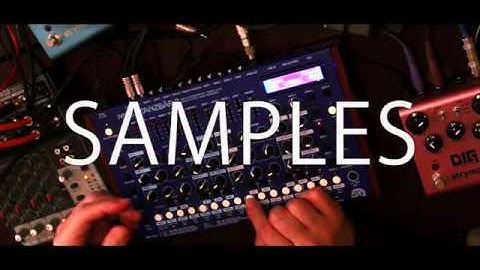 MFB Tanzbär 2   (Unboxing / Reactions / Sounds) TANZBAR 2