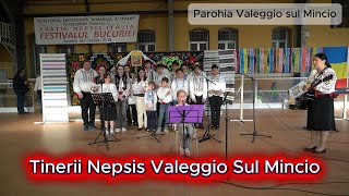 Nepsis Valeggio sul Mincio la Festivalul Bucuriei 2026 (Bassano del Grappa)