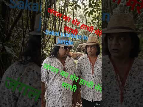 जंगल का शेरहाथी मेरे साथी #viral सकल जंक्शन इन जंगल फॉरेस्ट #viralstory #trend #शॉर्ट्स #bollywood