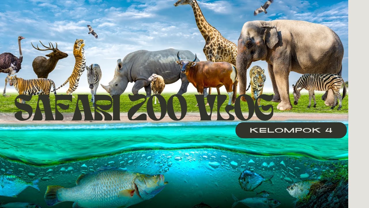 Vlog Kebun Binatang Mangkang by  Kelas XI-6 kelompok 4