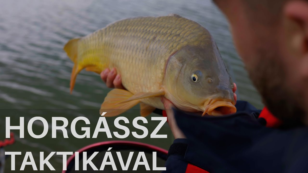 Hogyan építs fel egy sikeres horgászatot a körülményeknek megfelelően? - Zsennyei versenytó