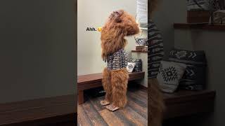 Sasquatch Caught Testing Some Going Out Looks. Sa Underwear Is 25% Off Until March 30Th.