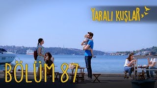 Yaralı Kuşlar 87. Bölüm