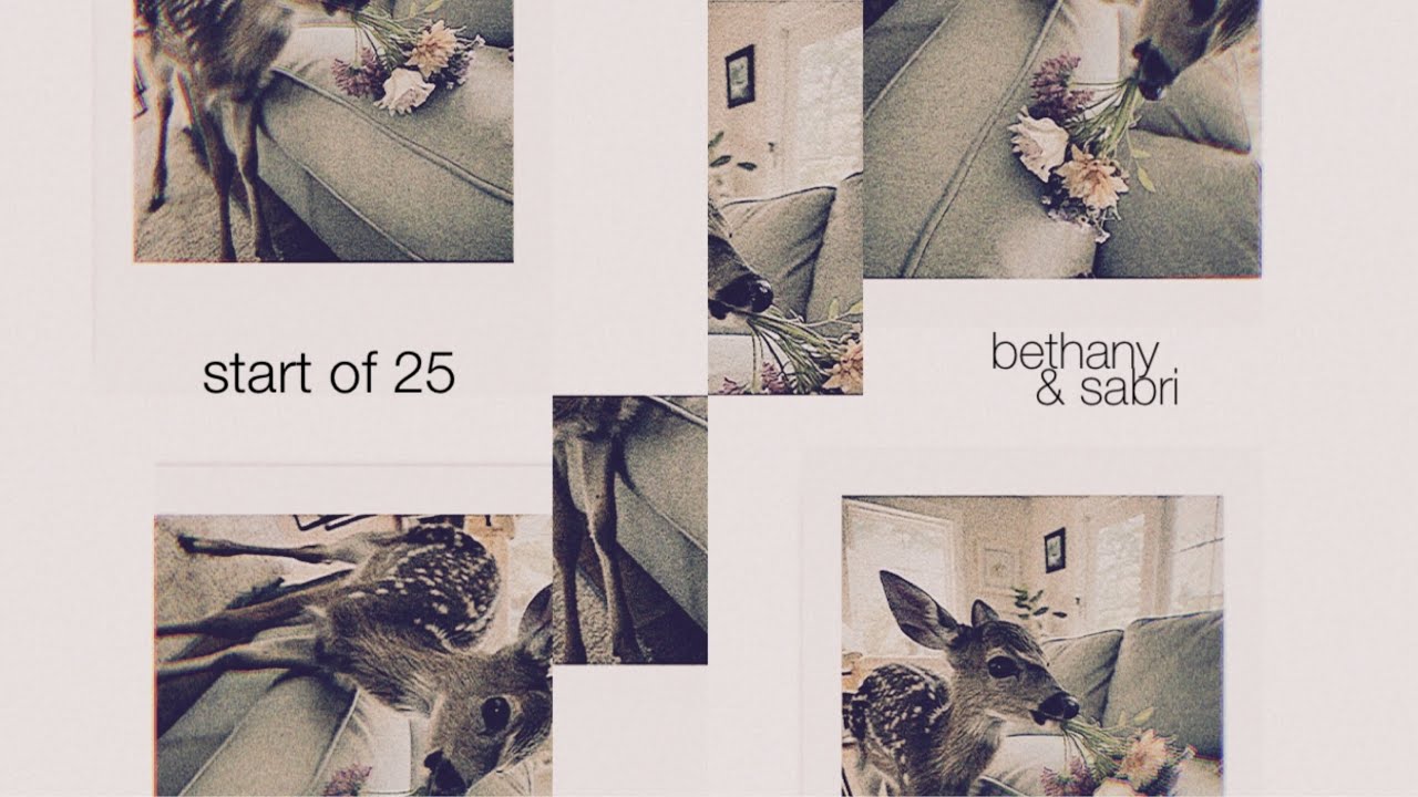 start of 25 - a song for faouzia ♡ | bethany & sabri