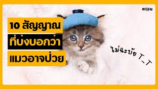 10 สัญญาณที่บ่งบอกว่าแมวของคุณอาจป่วย