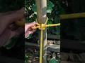 Fast Hold Knot, Easy Release