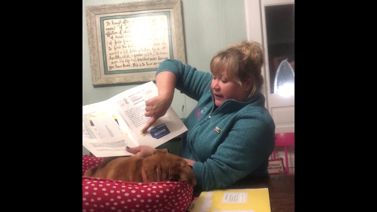 Adoption Process and Paperwork - We Want to Make it Easy for You!