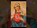#santorosario #virgendeguadalupe #virgenmaria #cristianos #catolicos #biblia #dios #jesus #familia