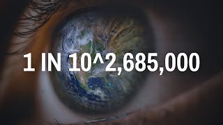 Famous The Odds Of You Being Alive Net Worth