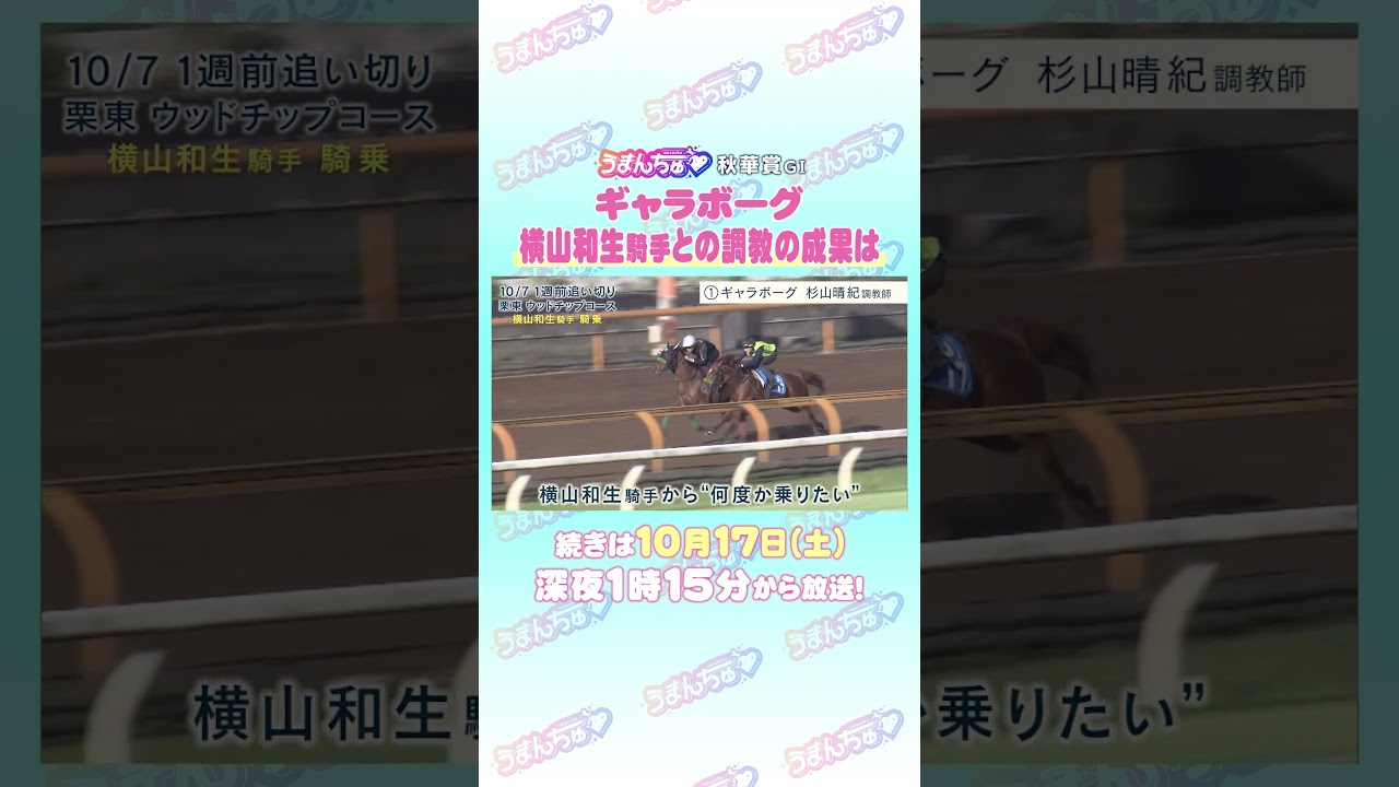 関連動画2