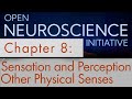 "Other Physical Senses" Open Neuroscience Initiative Chapter 8 (audio textbook)