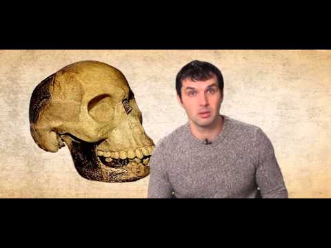 Александр Соколов. Мифы об эволюции человека (серия видео)