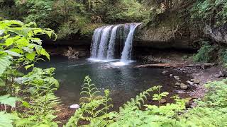 Butte Creek Falls, Oregon 