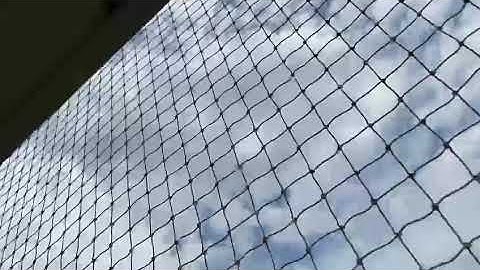 office safety net balcony safety net pigeon net Bird net call 18001024540