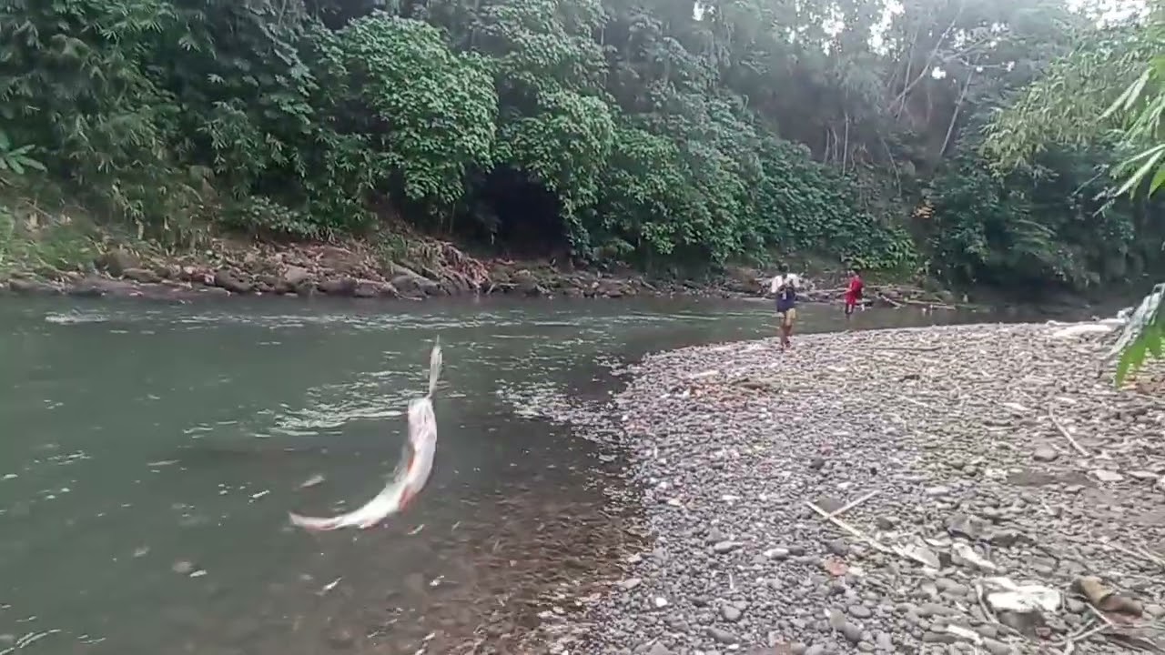 ketika berdoa langsung dijabah dengan letupan hampala Ciliwung Depok