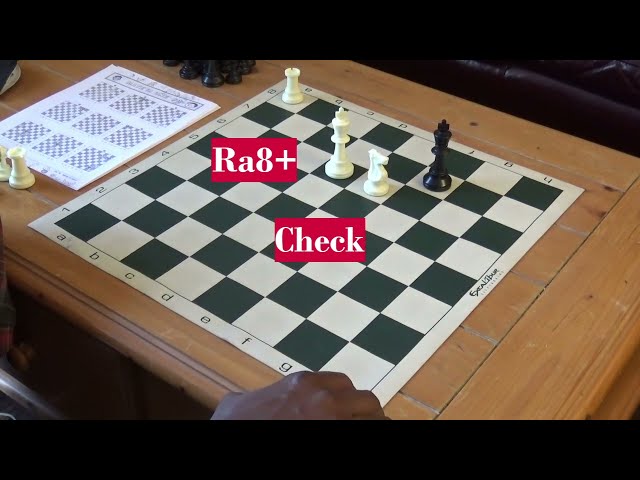 Mate in 1 Puzzles Rook Knight