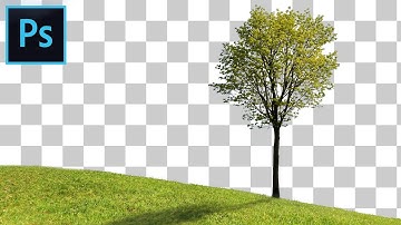 How to Cut Out a Tree in Photoshop - Fast & Easy Tutorial