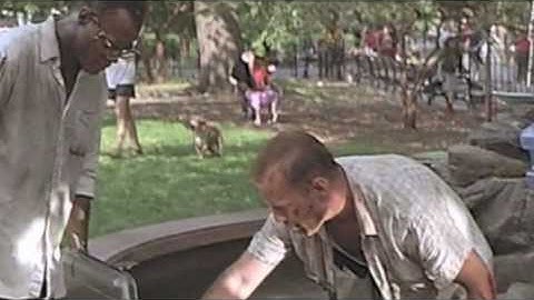 die hard jugs.mov