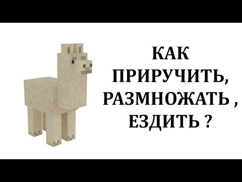 Видео: Можно ли разводить лам в minecraft?