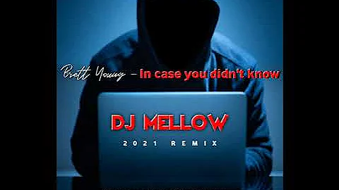 Brett Young - In case you didn't know - Dj Mellow (Animal Farm Style 2021)