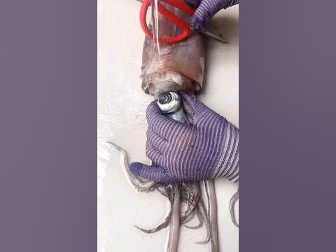 Sea Squid 🦑 Cutting Skills Video-02। #cutting #seafood - YouTube