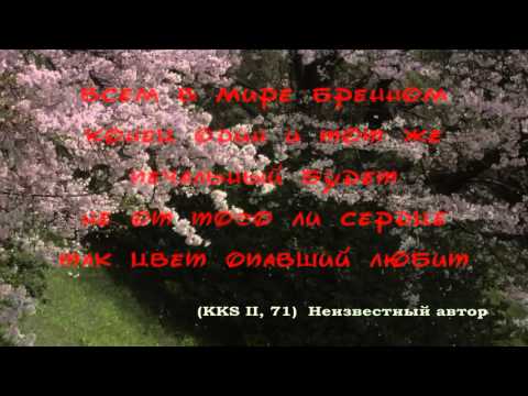 古今和歌集 / The Kokinshû. Spring Poems. Part II, 71 / Весенние песни. Сувий 2 (KKS II, 71)
