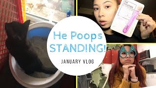 MY CAT POOPS STANDING UP! | Juna Grace