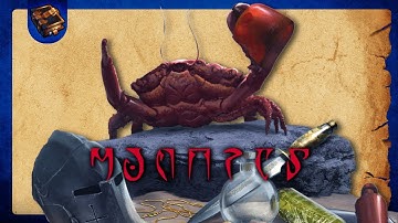NPCpedia: The Mudcrab Merchant