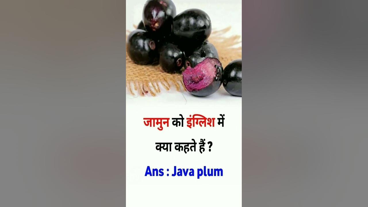 hindi-to-english-name-of-fruits-from-daylight-study-youtube