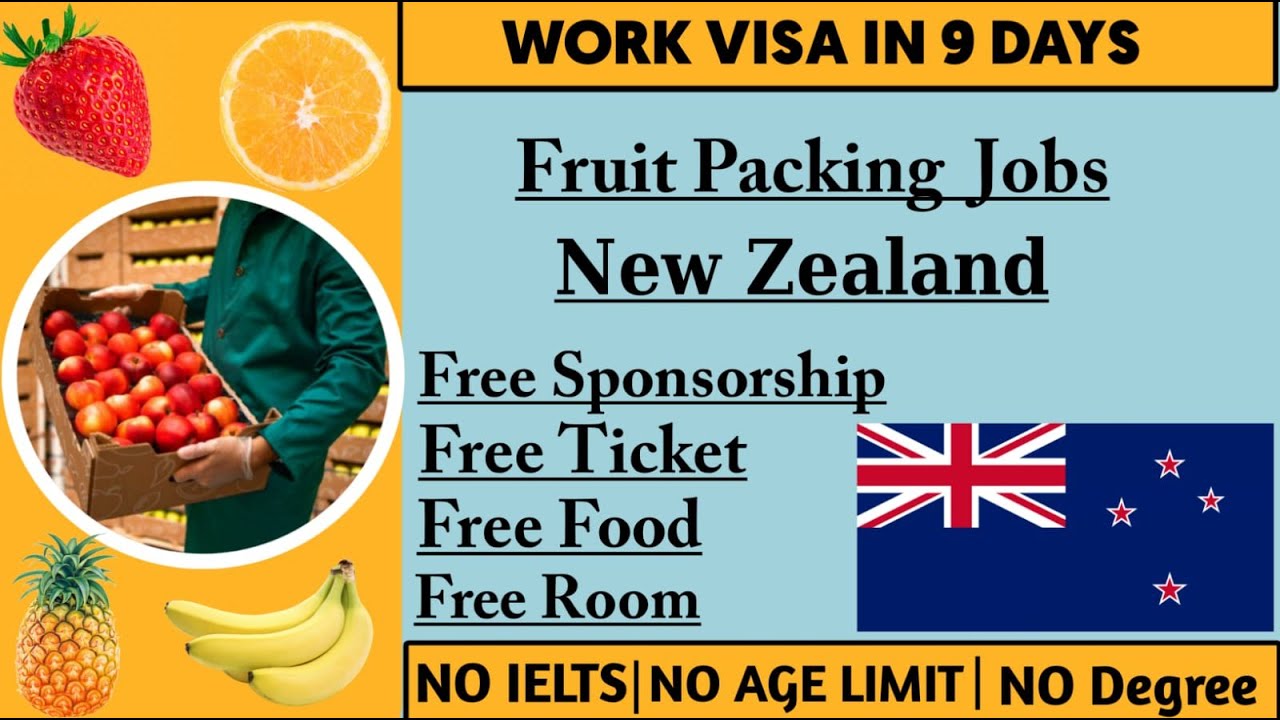 Fruit Picking Jobs New Zealand New Zealand Work Visa YouTube
